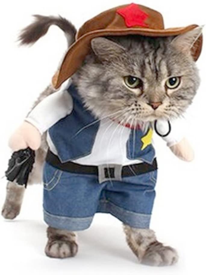 Der schnellste Colt in Katzmannsdorf - Cowboy Kostüm für Ihre Katze