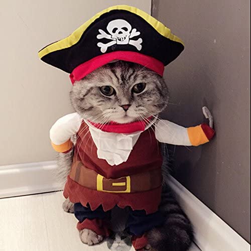 Leinen los für die Piratenkatze - Piraten Kostüm für Ihre Katze