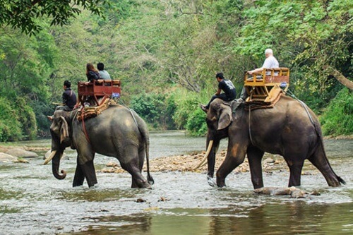 Tourismus in Thailand - Elefantenreiten